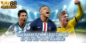 Giai Dap Keo Thom La Gi Cung Bi Kip Bat Keo W88 Chuan Xac