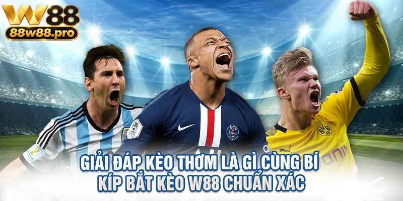 Giai Dap Keo Thom La Gi Cung Bi Kip Bat Keo W88 Chuan Xac